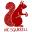 Nic Squirrell
