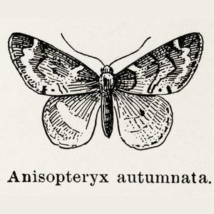 Image of Maria Alexandra
