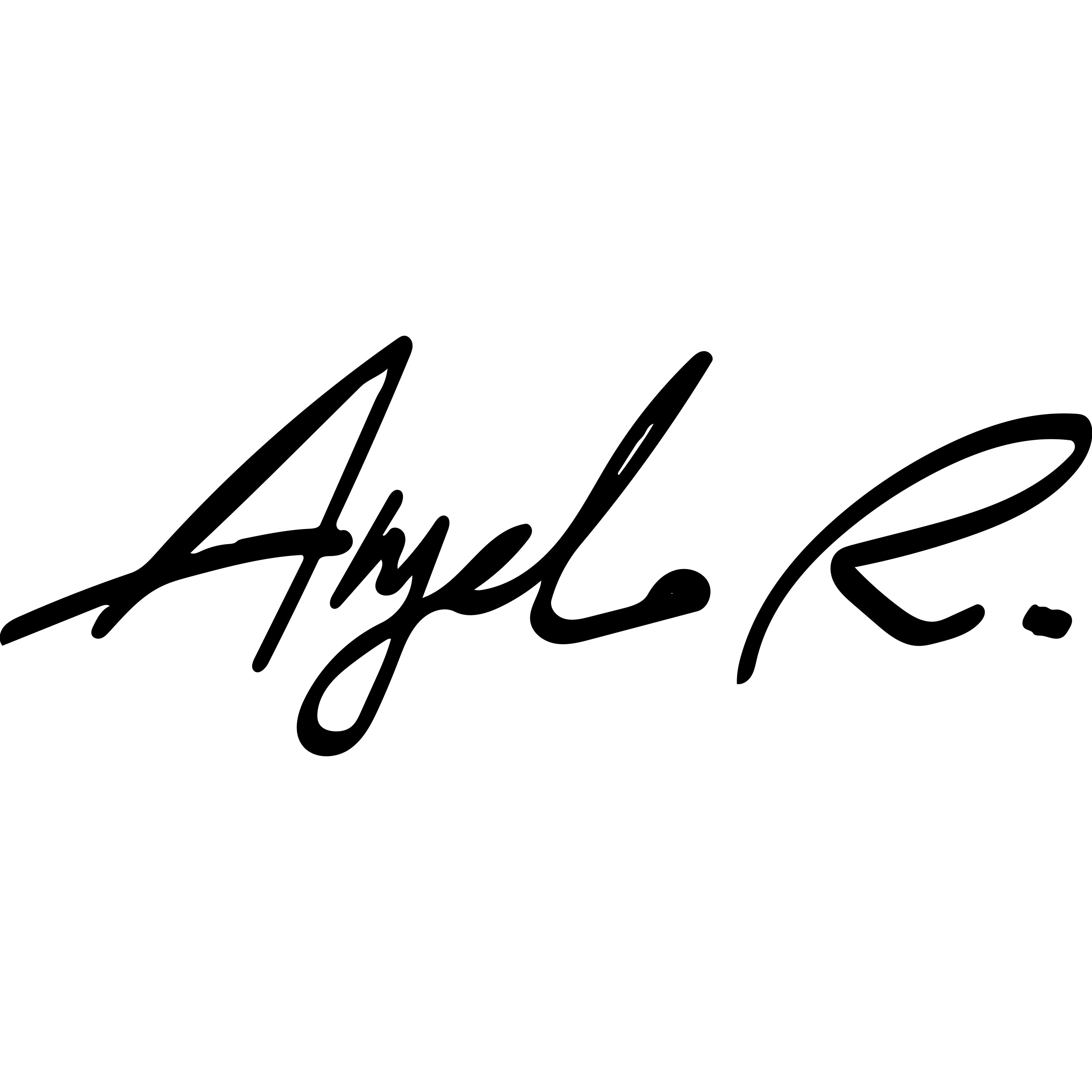 Angelo R Studio