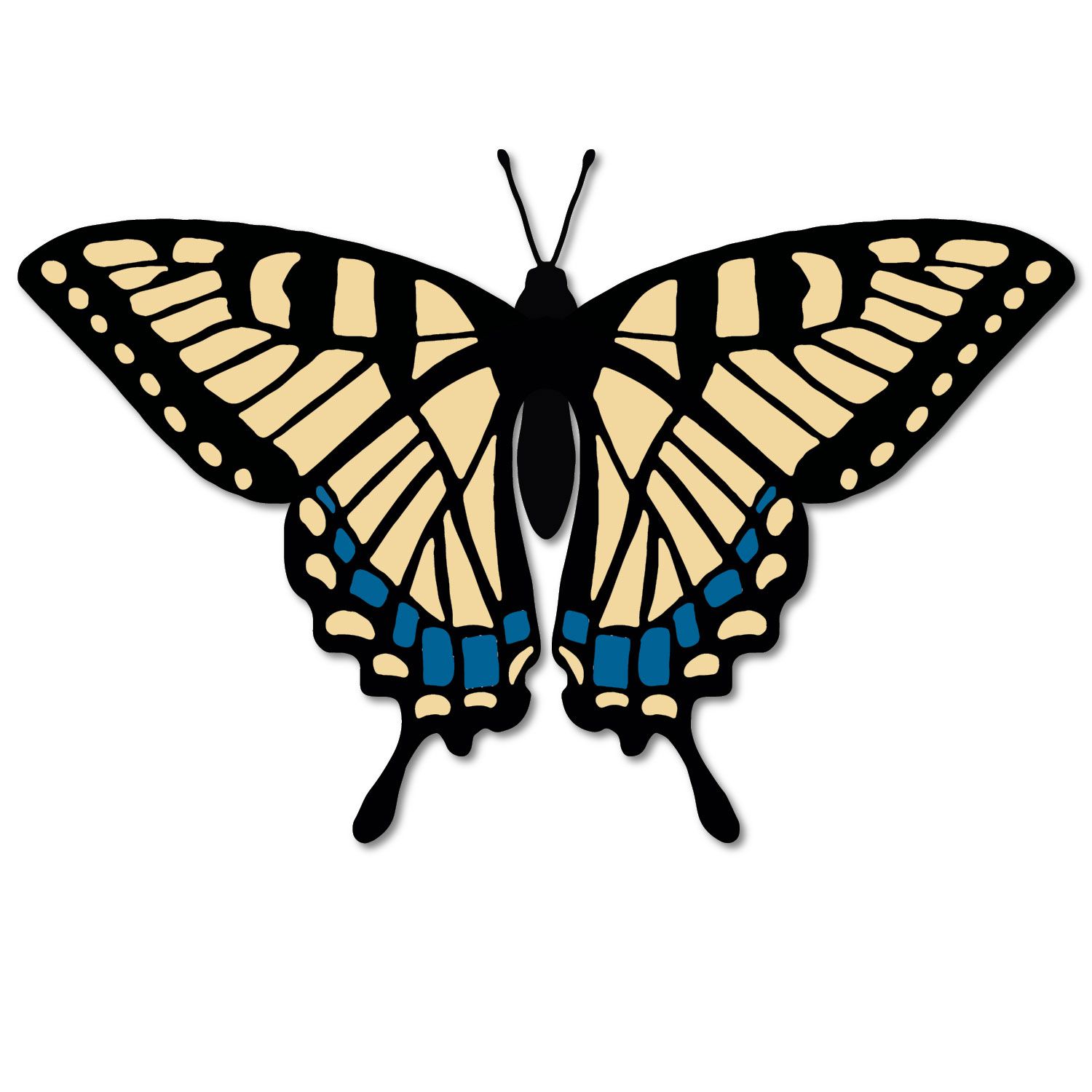 eastern_swallowtail_butterfly_