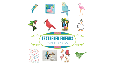 Feathered Friends – 15 Bird Designs