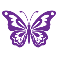 Butterfly decor