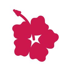 Hibiscus 
