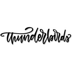 Thunderbirds