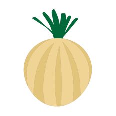 Onion