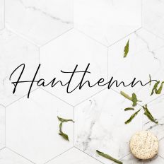 Hanthemn