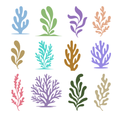 Set of Seaweed and Coral Silhouettes