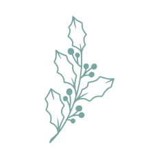 birth month flower december holly