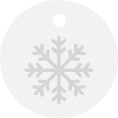 Snowflake Ornament