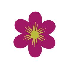 Flower Designs