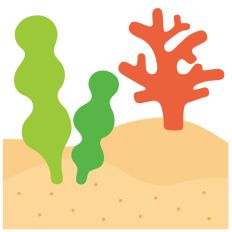 seaweed and coral