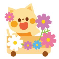 cat with cosmos