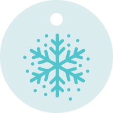 Snowflake Ornament