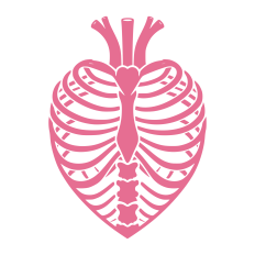 Heart Rib Cage