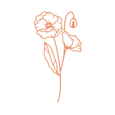 birth month flower august poppy