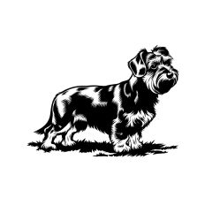 Dorkie