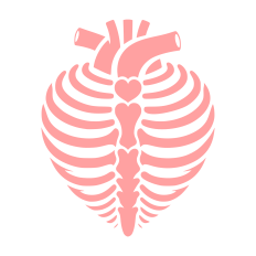 Heart Rib Cage