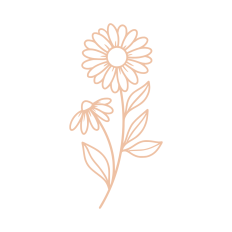 birth month flower april daisy