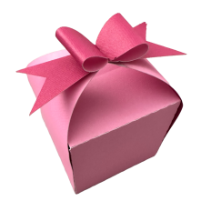 Box with Bow Closure