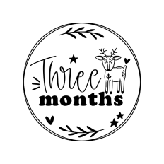 Three months - cute baby milestone rounds