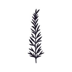 Branch