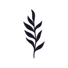 Branch