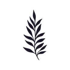 Branch