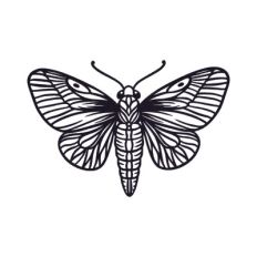 Butterfly art
