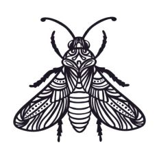 Butterfly art