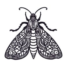 Butterfly art