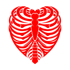 Heart Rib Cage