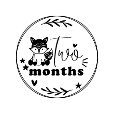 Two months - cute baby milestone rounds