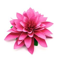 Layered 3D Paper Cut Designs Pink Lotus Flower 3D Cut File Summer Floral SVG 