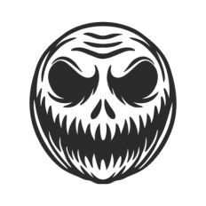 Facial skeleton