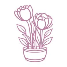 Flowers in a pot