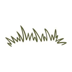 Grass
