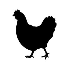 Chicken silhouette
