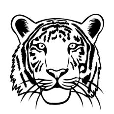 Tiger Face