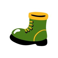 Shoe