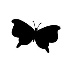 Butterfly Silhouette