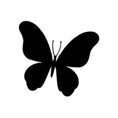 Butterfly Silhouette