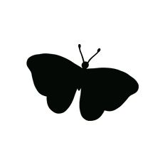 Butterfly Silhouette