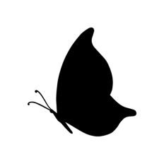 Butterfly Silhouette