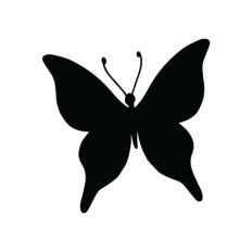 Butterfly Silhouette