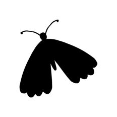 Butterfly Silhouette