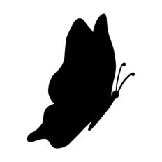 Butterfly Silhouette