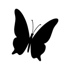 Butterfly Silhouette