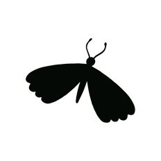 Butterfly Silhouette