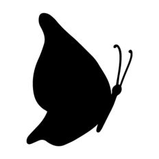 Butterfly Silhouette