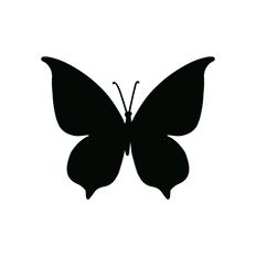 Butterfly Silhouette